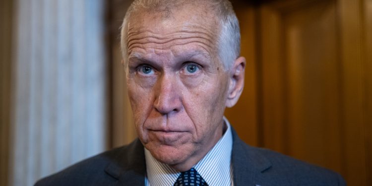 O senador Thom Tillis critica a fixação de Trump na legislação eleitoral