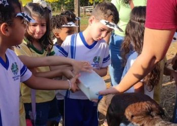 Jaru: Alunos da Escola Gabriel Balmant Neves participa de aula prática sobre ordem de férias durante o projeto “Muuuu!