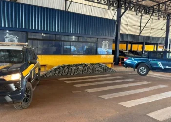 Operação da PRF e Receita Federal apreende 462 kg de drogas escondidos em carga na BR-364