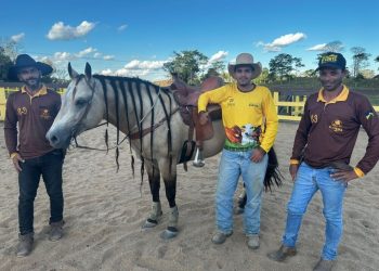 Jaru: Conheça a Estância Oliveira, haras que reúne genética de destaque e paixão pelos cavalos