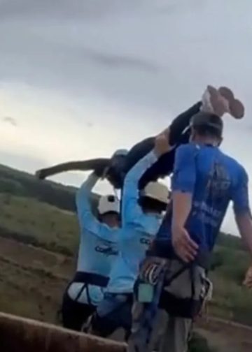 Jovem de 21 anos morre após salto de corda sem corda de segurança; vídeo registrar momento da tragédia