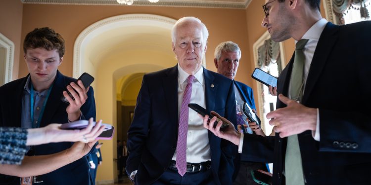 Cornyn desafia Blanche sobre o destino do ‘fundo anti-armamento’