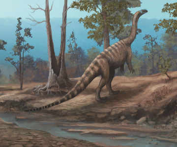 Dinossauro que viveu há 210 milhões de anos é descoberto no Zimbábue