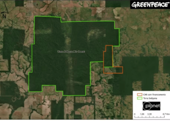 MPF processa banco por financiar pecuária em terra indígena de Rondônia