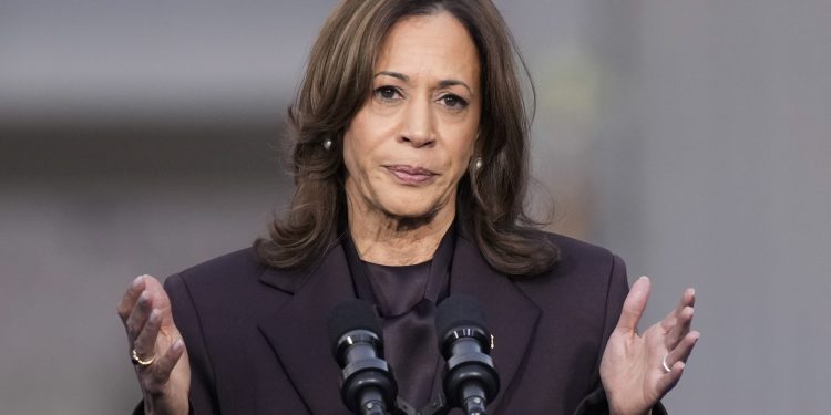 Kamala Harris sobre os democratas do estado vermelho mantendo-a à distância: ‘Tudo o que eles precisam fazer para vencer’