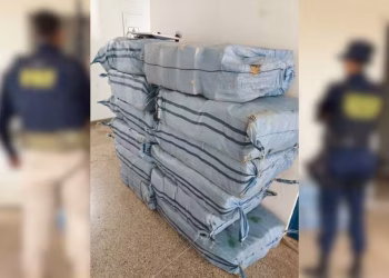 Caminhonete capota durante perseguição e polícia descobre carga de mais de meia tonelada de drogas em RO