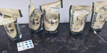 PF intercepta cerca de 80 kg de cocaína enviados pelos Correios de Rondônia para o Nordeste