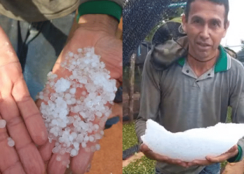 Cafeicultor mostra grande pedaço de granizo acumulado após temporal em RO; veja vídeo