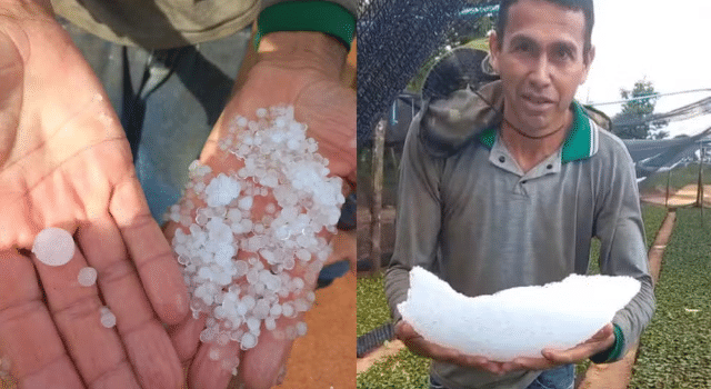 Cafeicultor mostra grande pedaço de granizo acumulado após temporal em RO; veja vídeo