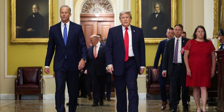 Trump anuncia Katie Bailey como nova chefe de relações Casa Branca-Hill