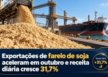 Exportações de farelo de soja aceleram em outubro e receita diária cresce 31,7%