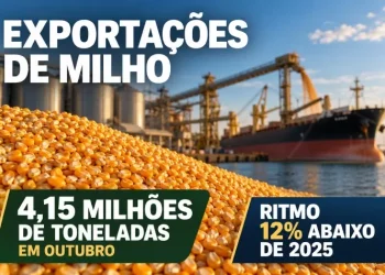 Exportações de milho somam 4,15 milhões de toneladas em outubro, mas ritmo fica 12% abaixo de 2025