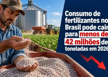 Consumo de fertilizantes no Brasil pode cair para menos de 42 milhões de toneladas em 2026