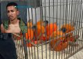 Apenado é espancado até morrer em cela no presídio 603; 8 são acusados